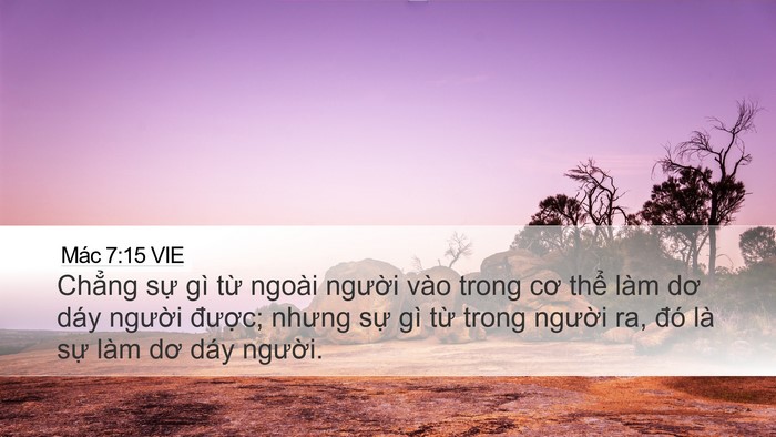 Mác 7:15 VIE Bible Verse Image