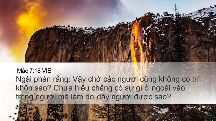 Mác 7:18 VIE Bible Verse Image