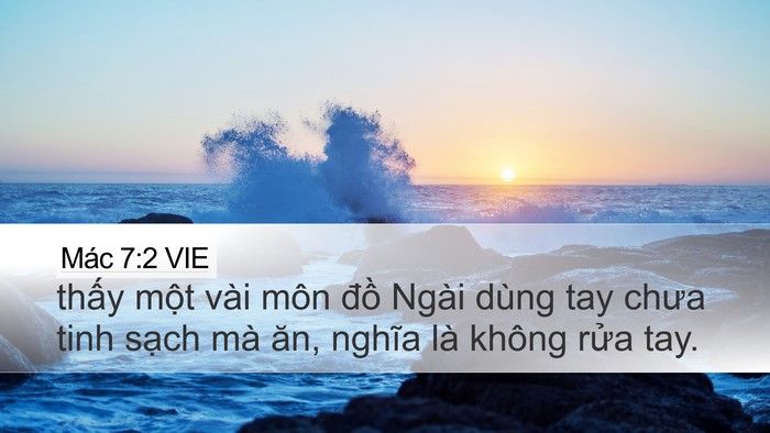 Mác 7:2 VIE Bible Verse Image