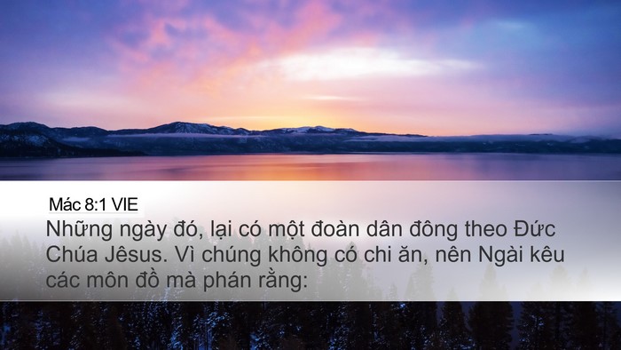 Mác 8:1 VIE Bible Verse Image