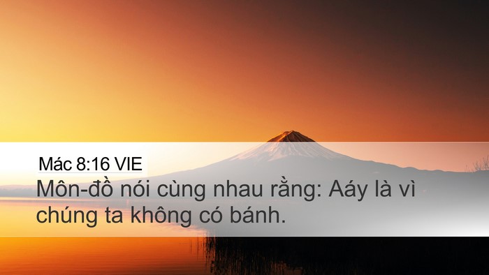 Mác 8:16 VIE Bible Verse Image