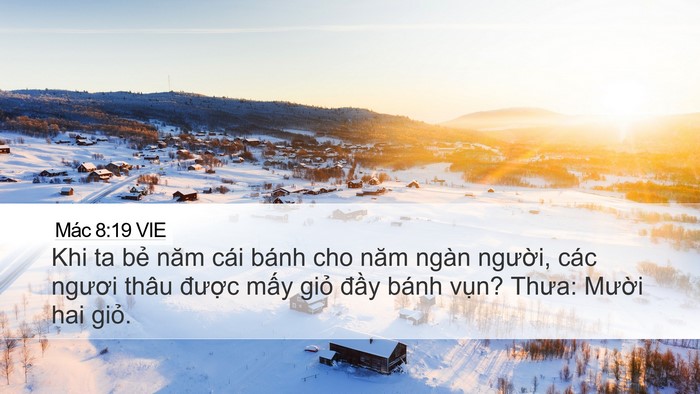 Mác 8:19 VIE Bible Verse Image