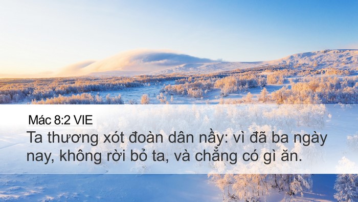 Mác 8:2 VIE Bible Verse Image