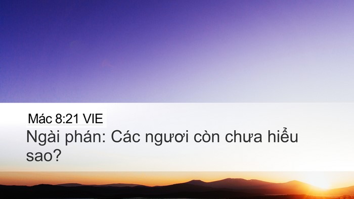 Mác 8:21 VIE Bible Verse Image