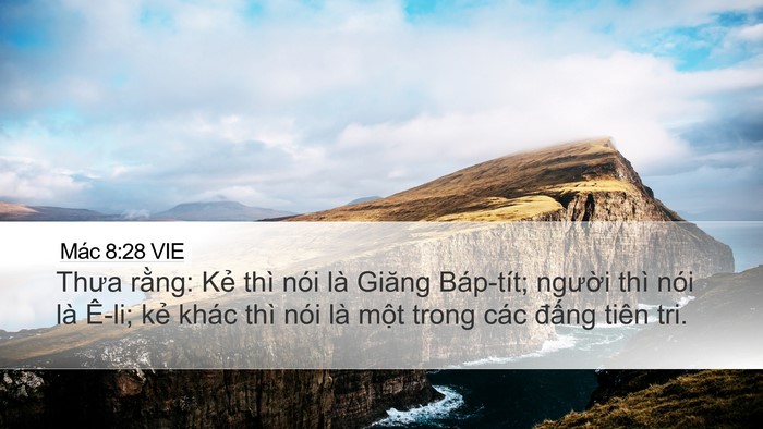 Mác 8:28 VIE Bible Verse Image