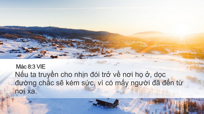 Mác 8:3 VIE Bible Verse Image