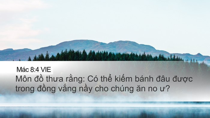 Mác 8:4 VIE Bible Verse Image