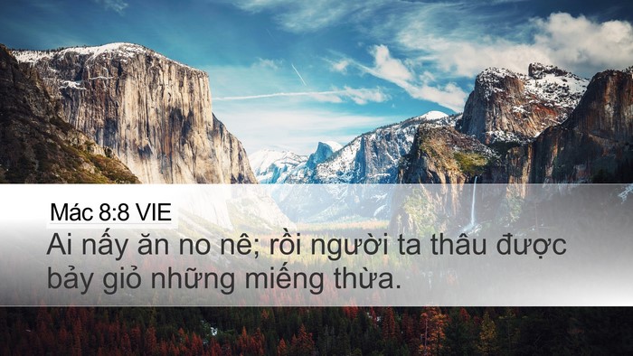 Mác 8:8 VIE Bible Verse Image