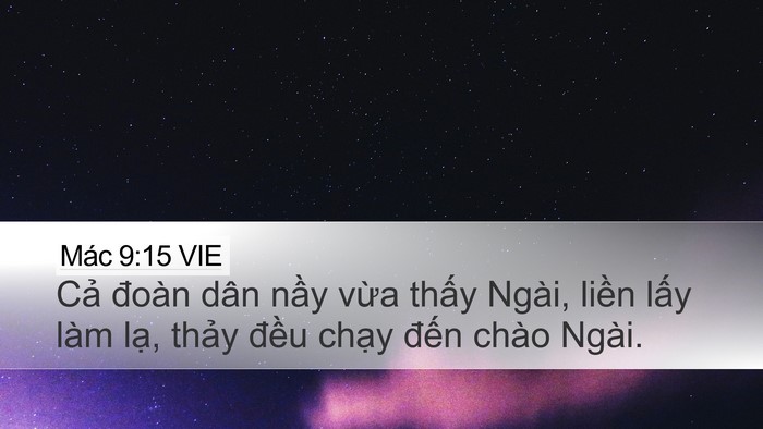 Mác 9:15 VIE Bible Verse Image