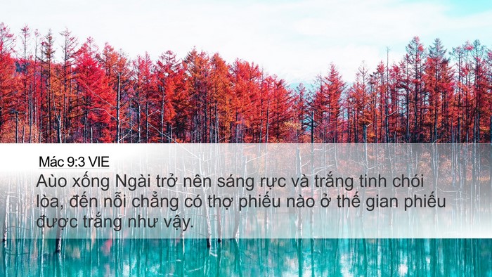 Mác 9:3 VIE Bible Verse Image