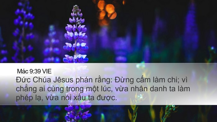 Mác 9:39 VIE Bible Verse Image