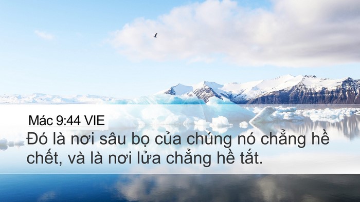 Mác 9:44 VIE Desktop Wallpaper - Đó là nơi sâu bọ của chúng nó chẳng - Desktop Bible Verse Wallpaper