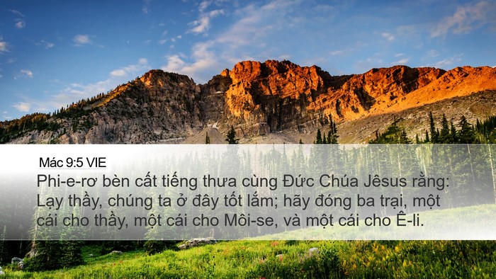 Mác 9:5 VIE Bible Verse Image