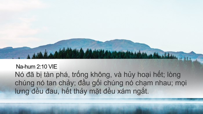 Na-hum 2:10 VIE Bible Verse Image