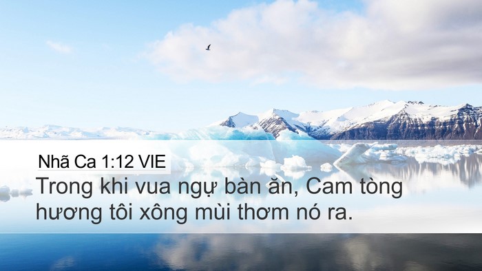 Nhã Ca 1:12 VIE Bible Verse Image