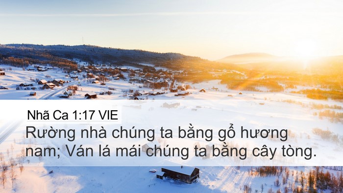 Nhã Ca 1:17 VIE Bible Verse Image