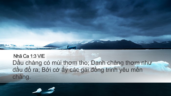 Nhã Ca 1:3 VIE Bible Verse Image