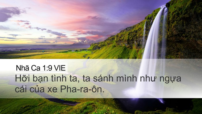 Nhã Ca 1:9 VIE Desktop Wallpaper - Hỡi bạn tình ta, ta sánh mình như ngựa - Desktop Bible Verse Wallpaper