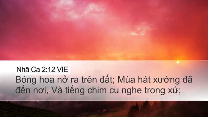 Nhã Ca 2:12 VIE Desktop Wallpaper - Bóng hoa nở ra trên đất; Mùa hát - Desktop Bible Verse Wallpaper