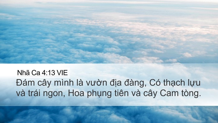 Nhã Ca 4:13 VIE Bible Verse Image