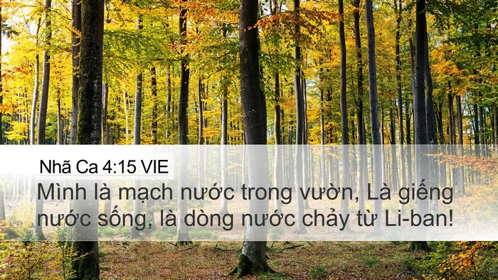 Nhã Ca 4:15 VIE Bible Verse Image