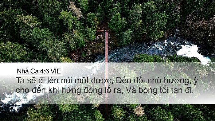 Nhã Ca 4:6 VIE Bible Verse Image