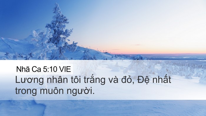 Nhã Ca 5:10 VIE Bible Verse Image