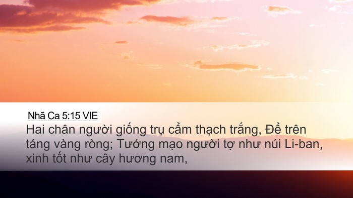 Nhã Ca 5:15 VIE Desktop Wallpaper - Hai chân người giống trụ cẩm thạch - Desktop Bible Verse Wallpaper