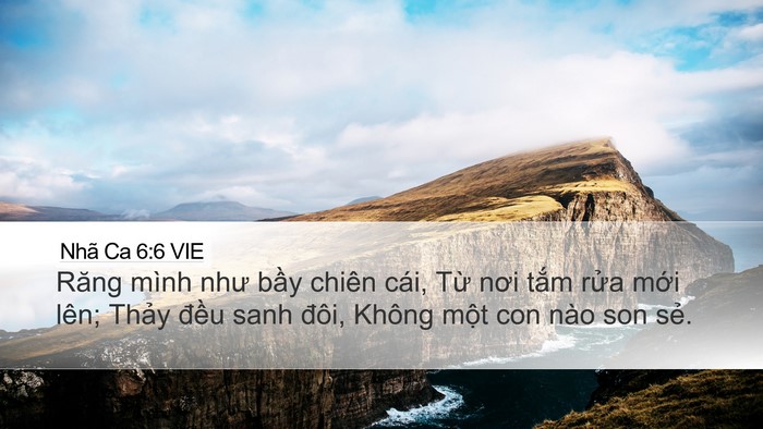 Nhã Ca 6:6 VIE Bible Verse Image