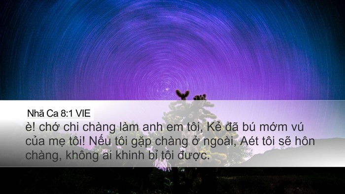 Nhã Ca 8:1 VIE Bible Verse Image