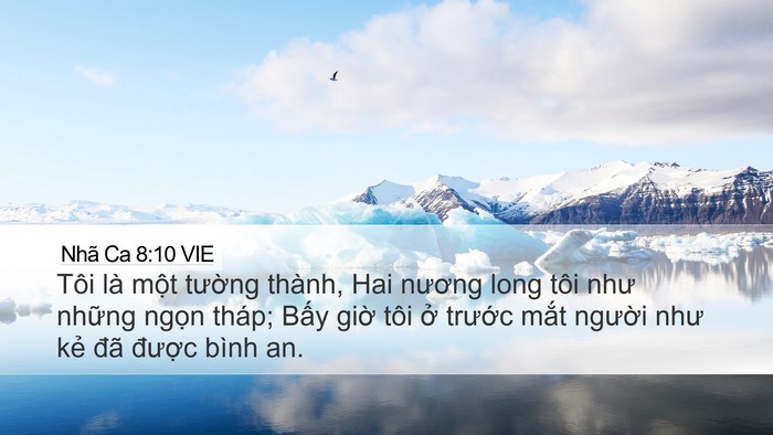Nhã Ca 8:10 VIE Bible Verse Image