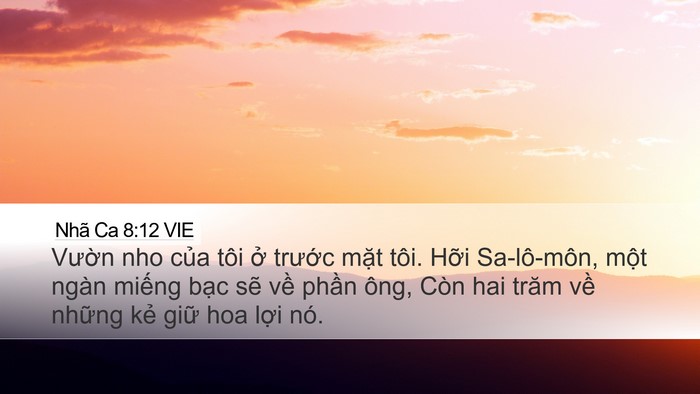 Nhã Ca 8:12 VIE Bible Verse Image