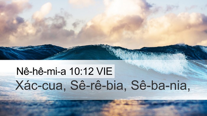 Nê-hê-mi-a 10:12 VIE Bible Verse Image