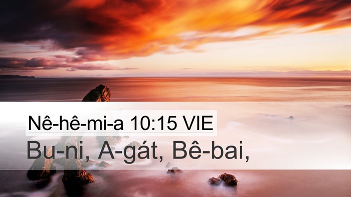 Nê-hê-mi-a 10:15 VIE Desktop Wallpaper - Bu-ni, A-gát, - Desktop Bible Verse Wallpaper