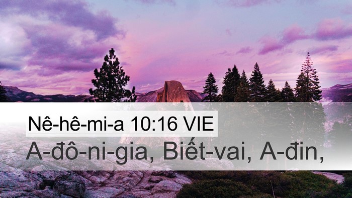 Nê-hê-mi-a 10:16 VIE Desktop Wallpaper - A-đô-ni-gia, Biết-vai, - Desktop Bible Verse Wallpaper