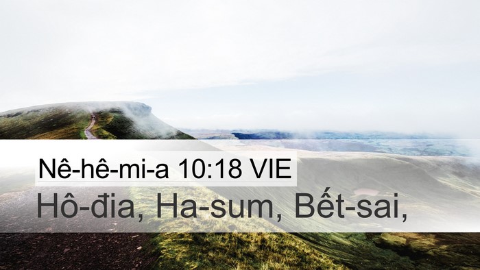 Nê-hê-mi-a 10:18 VIE Desktop Wallpaper - Hô-đia, Ha-sum, - Desktop Bible Verse Wallpaper