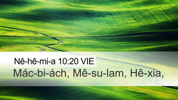 Nê-hê-mi-a 10:20 VIE Desktop Wallpaper - Mác-bi-ách, Mê-su-lam, - Desktop Bible Verse Wallpaper