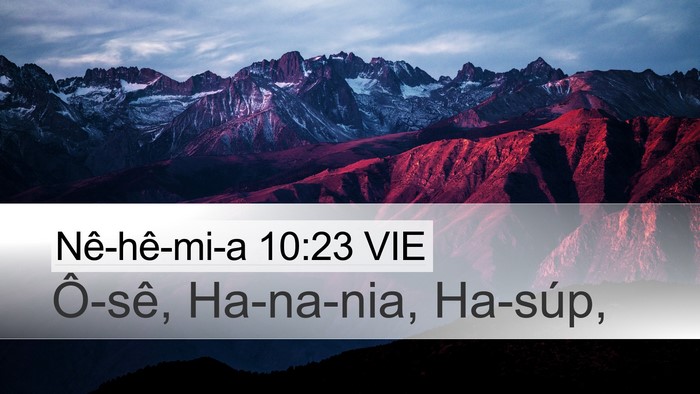 Nê-hê-mi-a 10:23 VIE Bible Verse Image