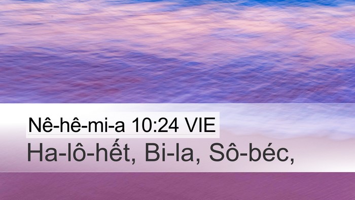 Nê-hê-mi-a 10:24 VIE Desktop Wallpaper - Ha-lô-hết, Bi-la, - Desktop Bible Verse Wallpaper