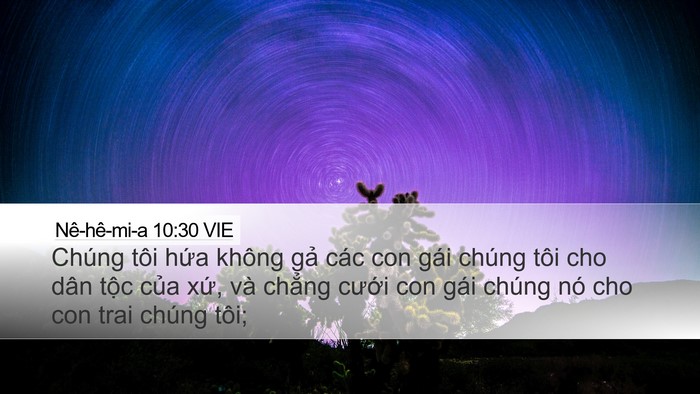 Nê-hê-mi-a 10:30 VIE Desktop Wallpaper - Chúng tôi hứa không gả các con gái - Desktop Bible Verse Wallpaper