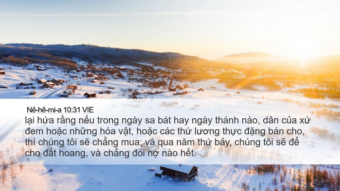 Nê-hê-mi-a 10:31 VIE Bible Verse Image