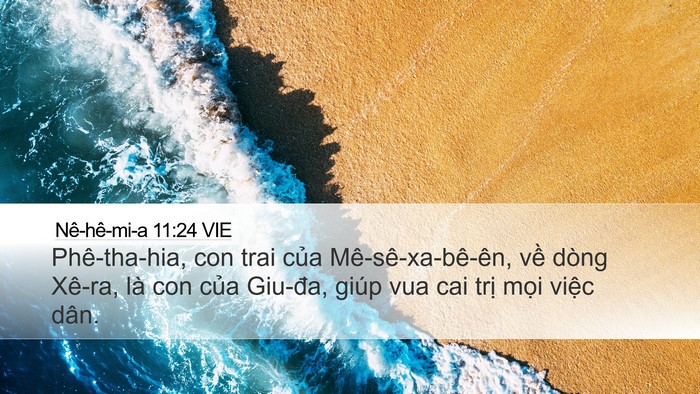 Nê-hê-mi-a 11:24 VIE Desktop Wallpaper - Phê-tha-hia, con trai của Mê-sê-xa-bê-ên, - Desktop Bible Verse Wallpaper