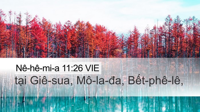 Nê-hê-mi-a 11:26 VIE Bible Verse Image