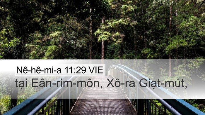 Nê-hê-mi-a 11:29 VIE Bible Verse Image