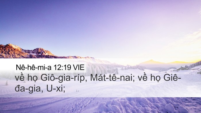 Nê-hê-mi-a 12:19 VIE Bible Verse Image