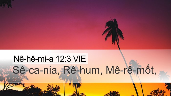 Nê-hê-mi-a 12:3 VIE Bible Verse Image