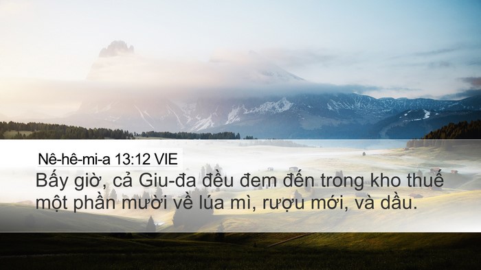 Nê-hê-mi-a 13:12 VIE Bible Verse Image