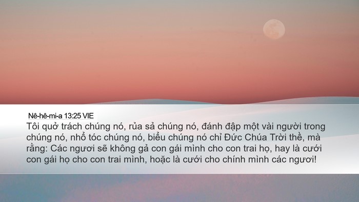Nê-hê-mi-a 13:25 VIE Bible Verse Image