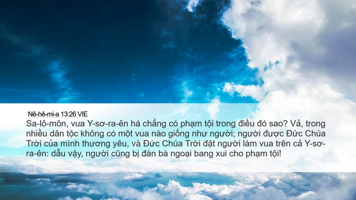 Nê-hê-mi-a 13:26 VIE Bible Verse Image