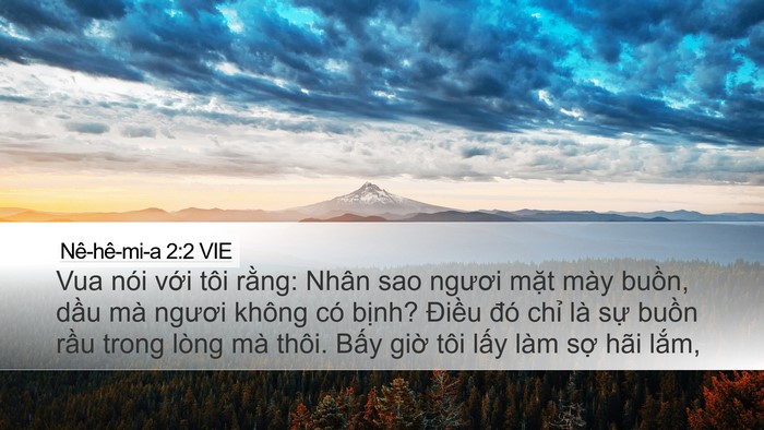 Nê-hê-mi-a 2:2 VIE Bible Verse Image